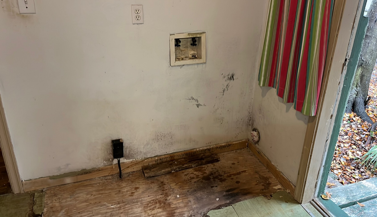 Mold
