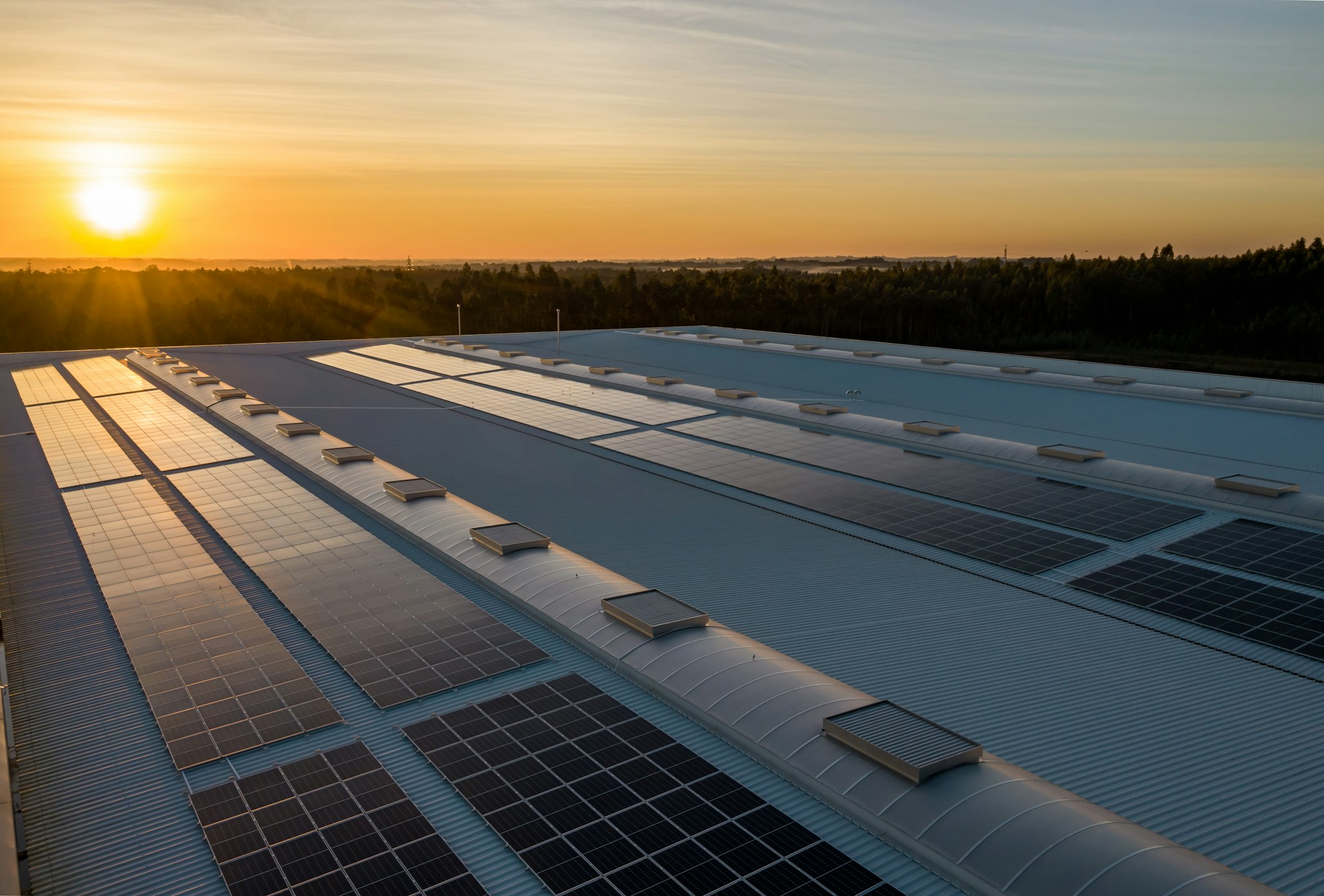 Commercial Solar Panels