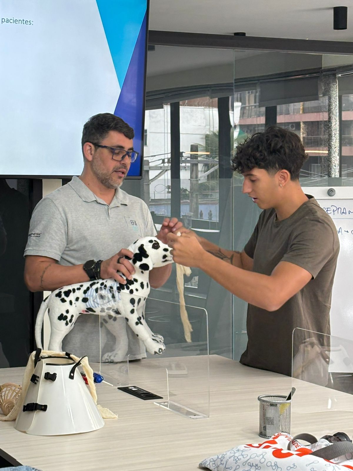 Estrutura EFAVET Linha 2 1