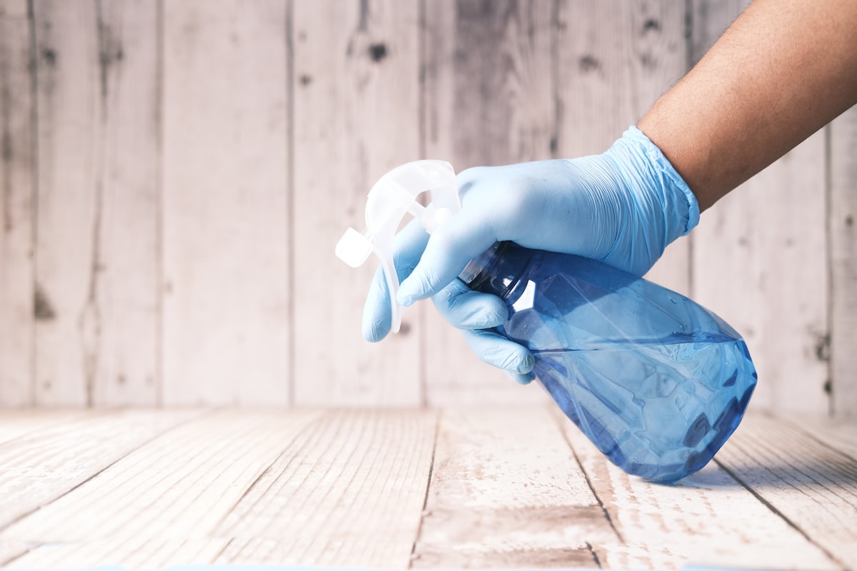 Pay monthly websites for Cleaning Companies in Ely, Cardiff