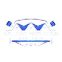 MV Pro Services