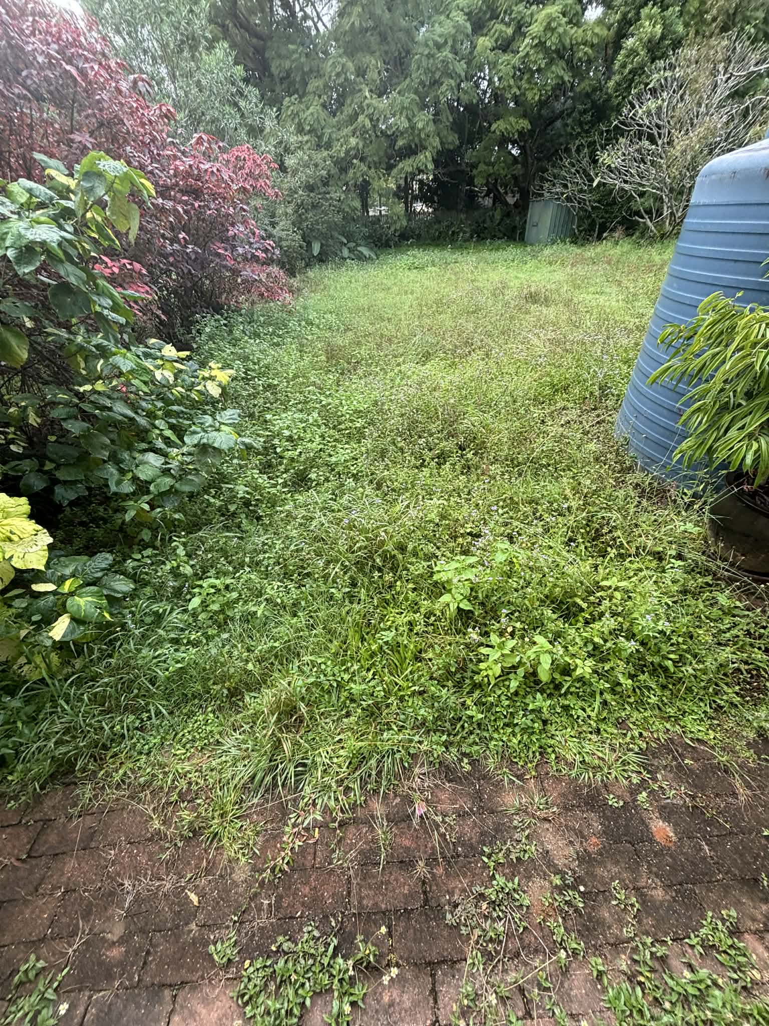 Before