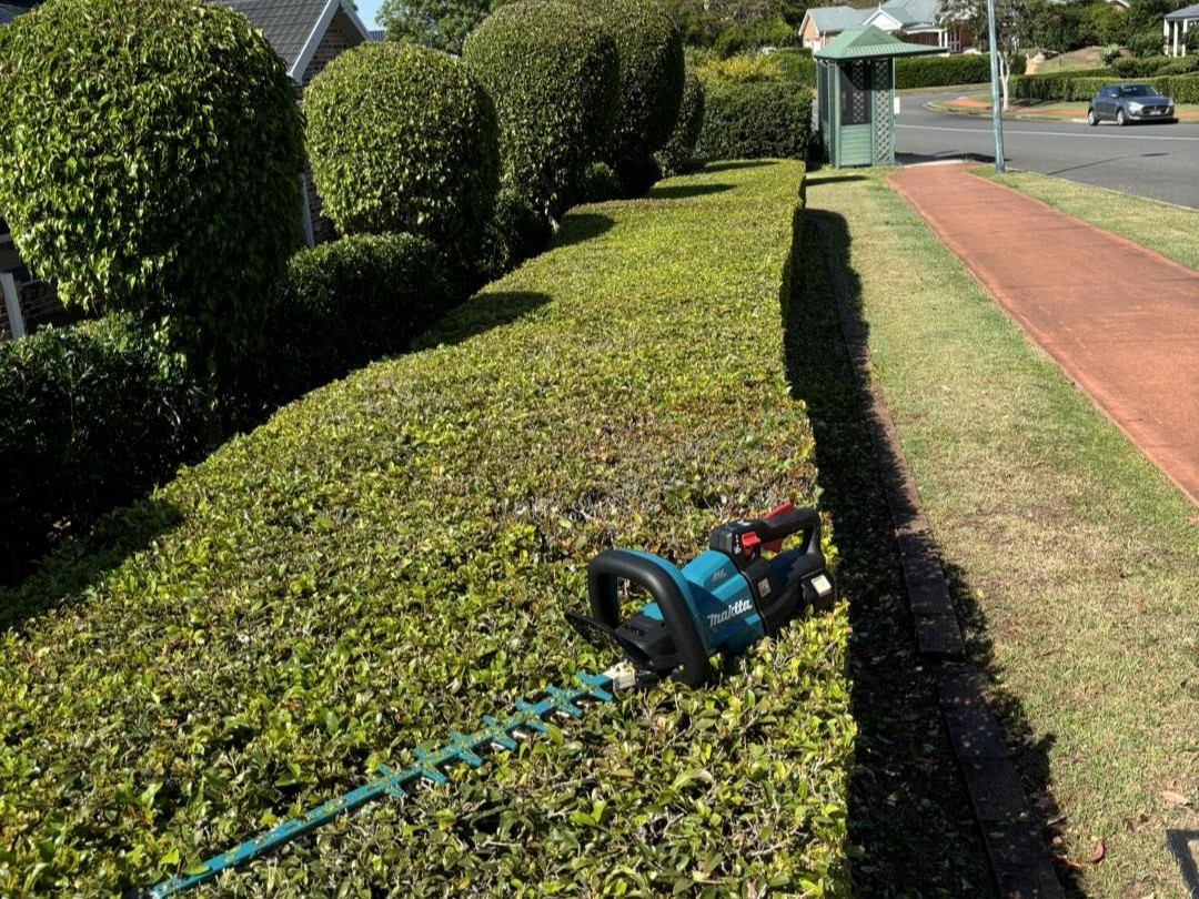 Garden Cleanup Before and After