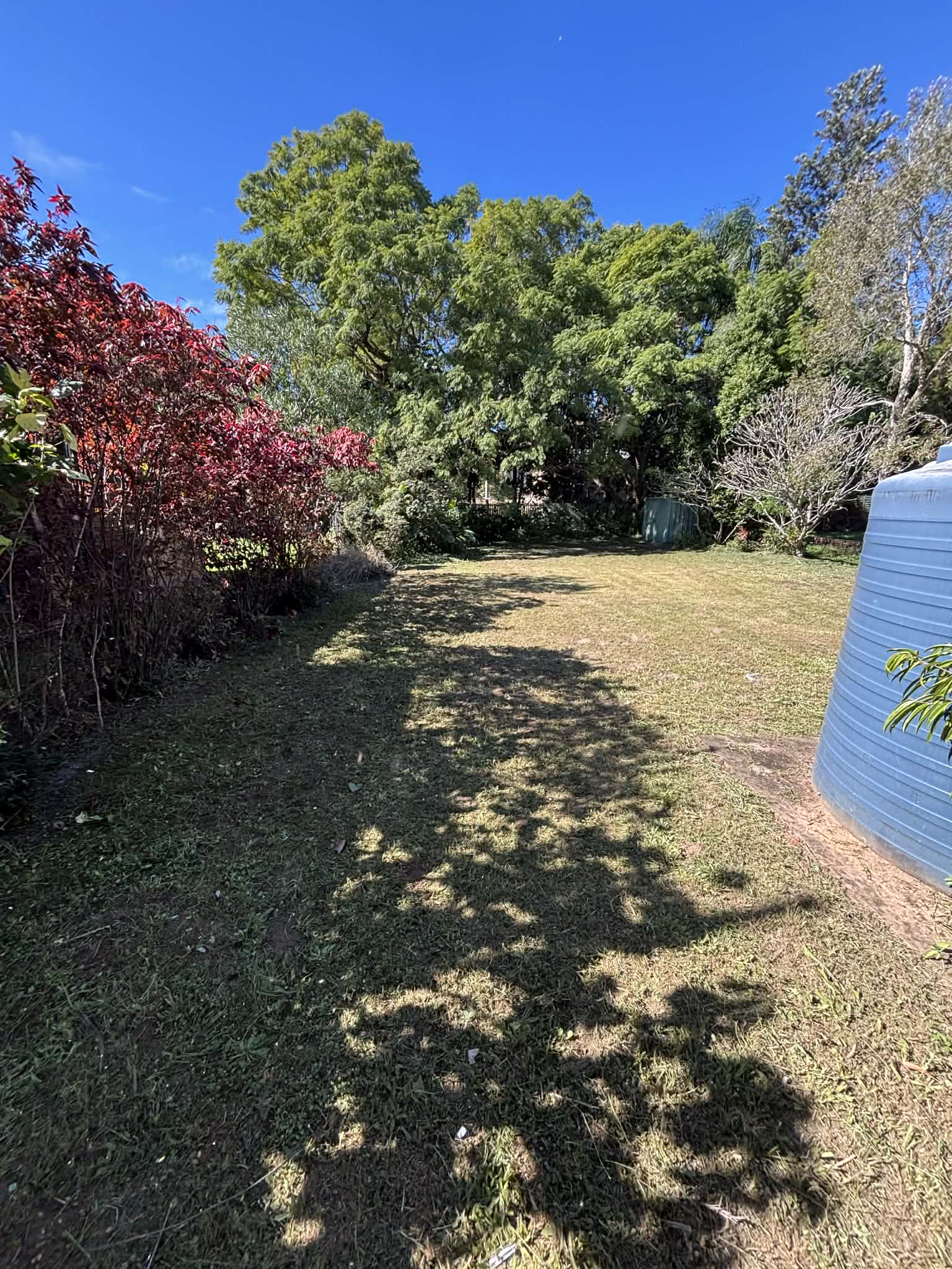 Neatly mowed suburban front yard in Caboolture QLD