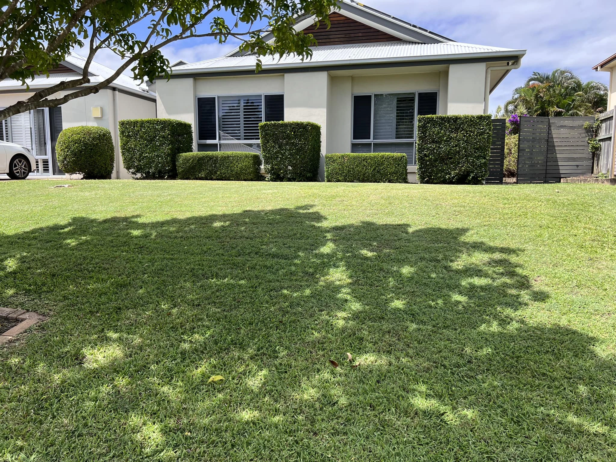 Acreage Property Mowing