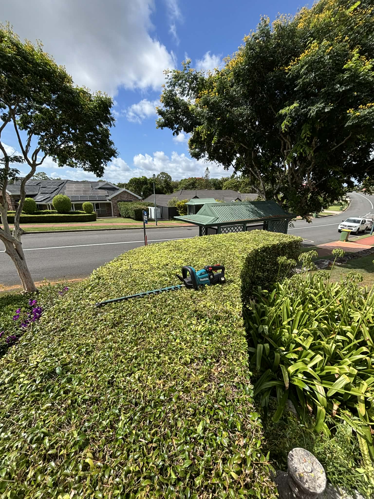Professional Hedge Trimming Moreton Bay