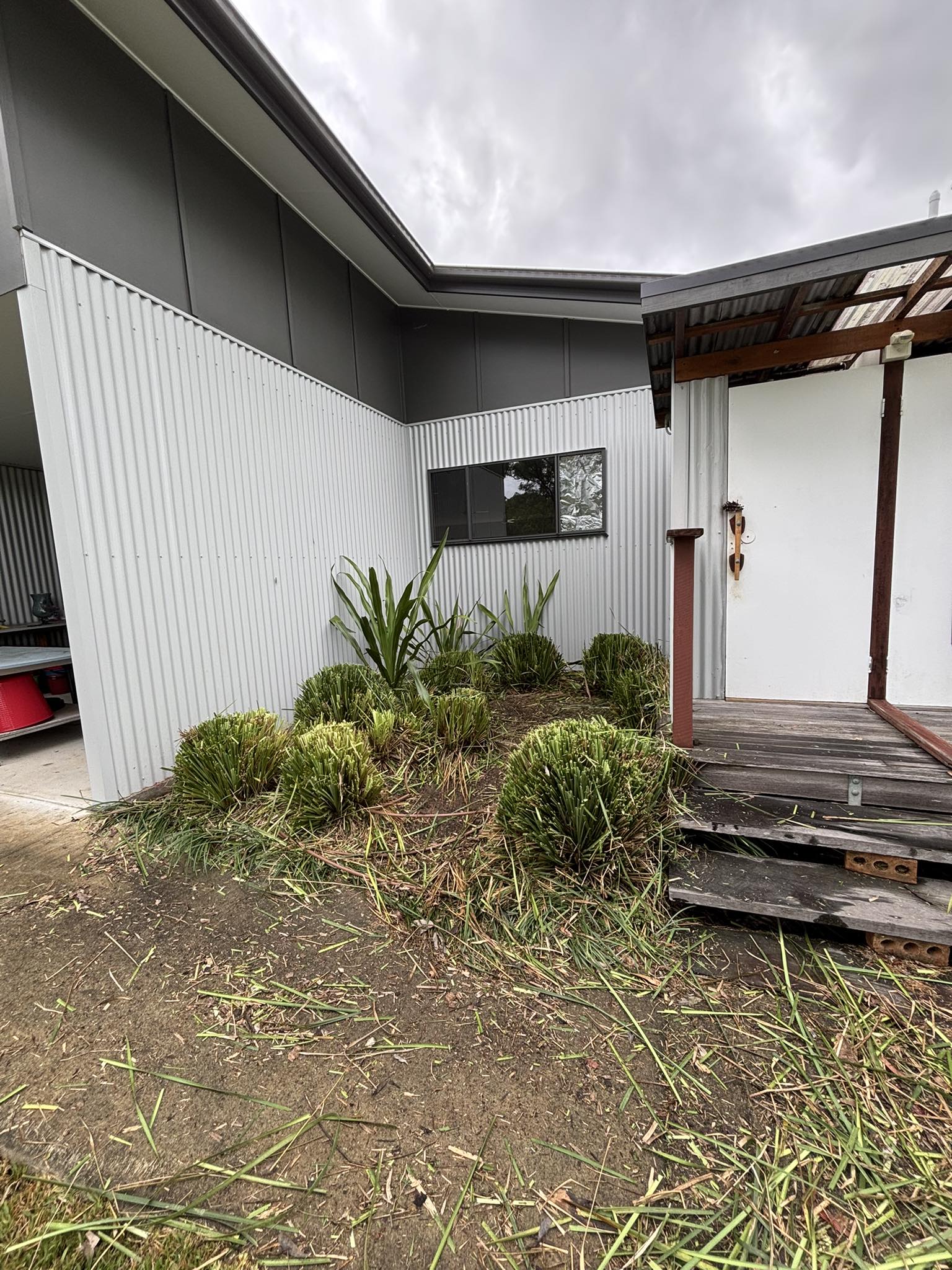 Garden Cleanup In Progress Moreton Bay