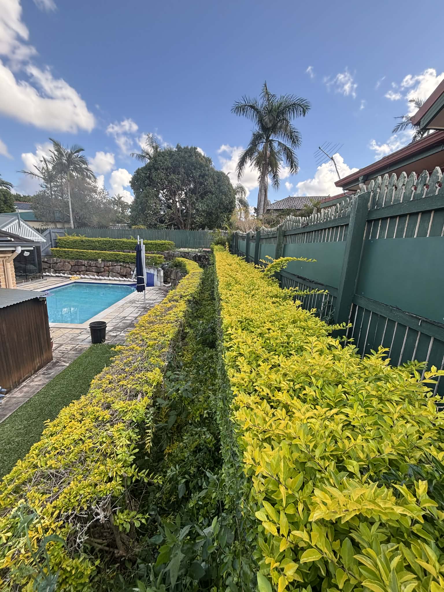 Residential Property Hedge Trimming