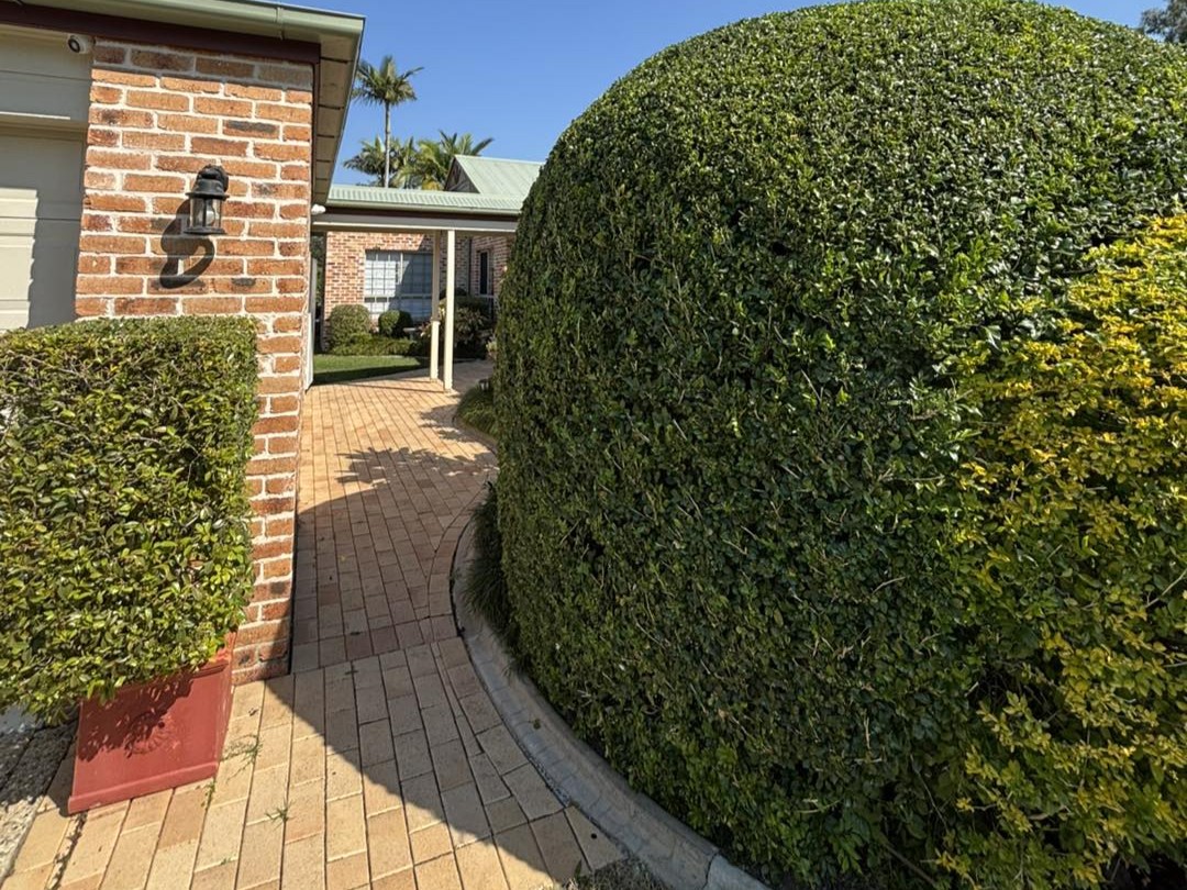 Lawn Mowing Narangba: Local Experts for a Suburb That's Always Growing