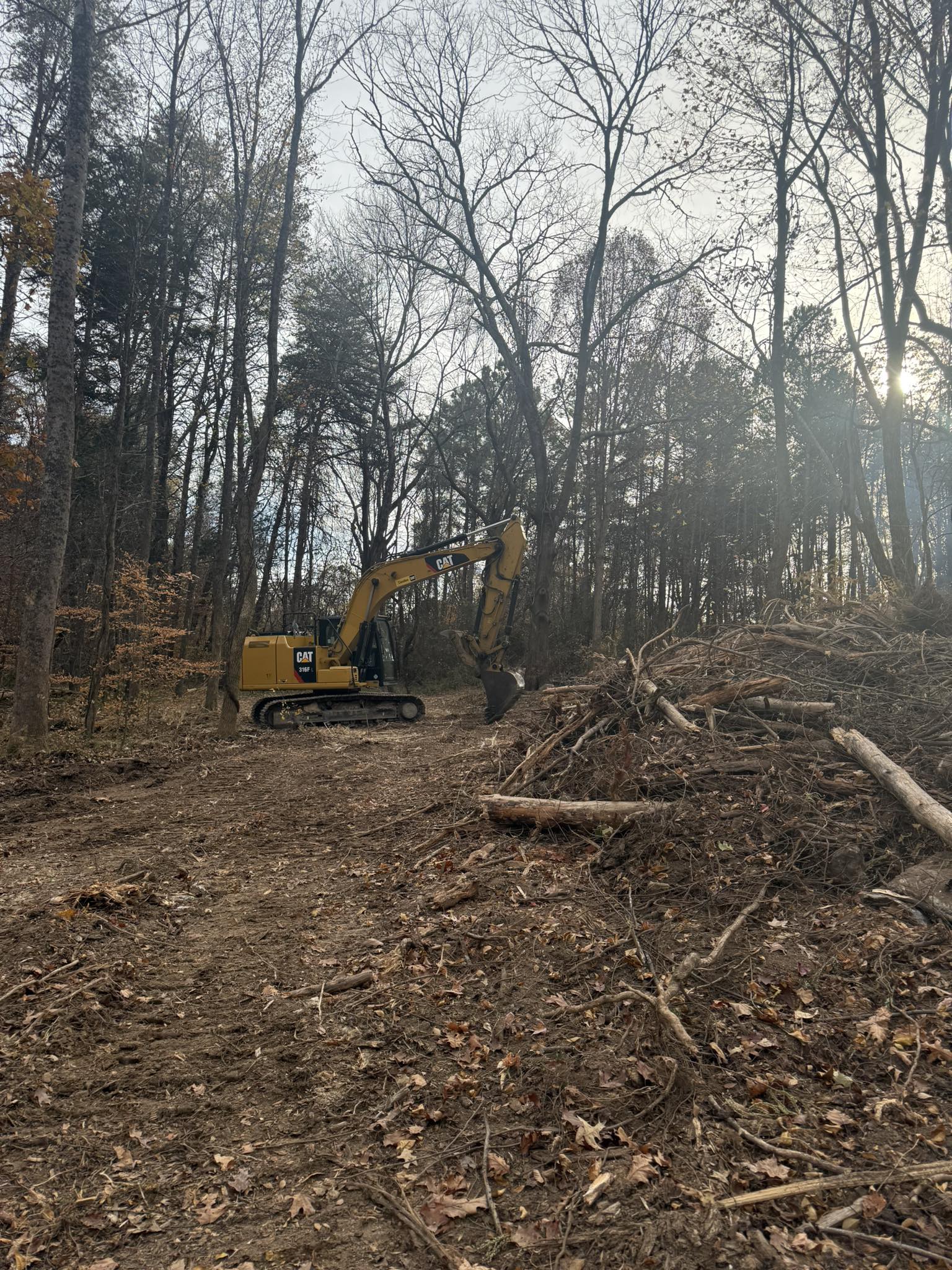 Risen Land Management Project 11
