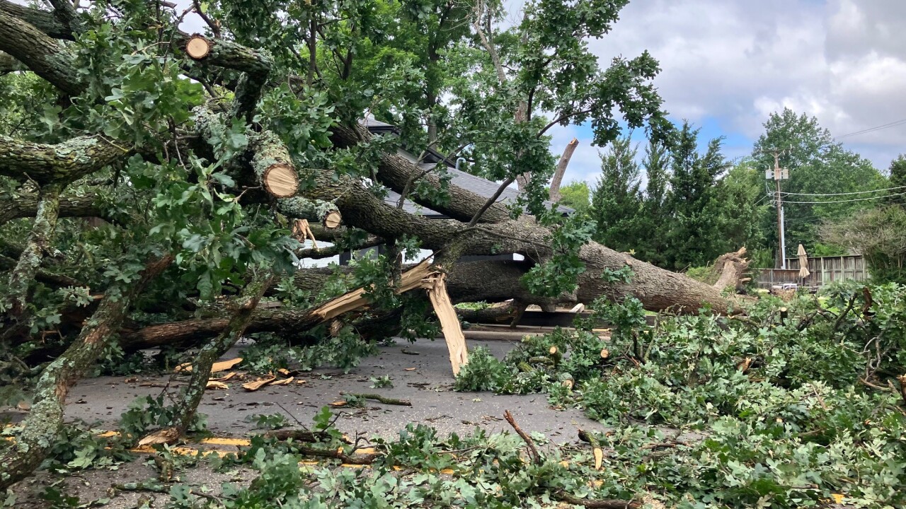Storm Damage