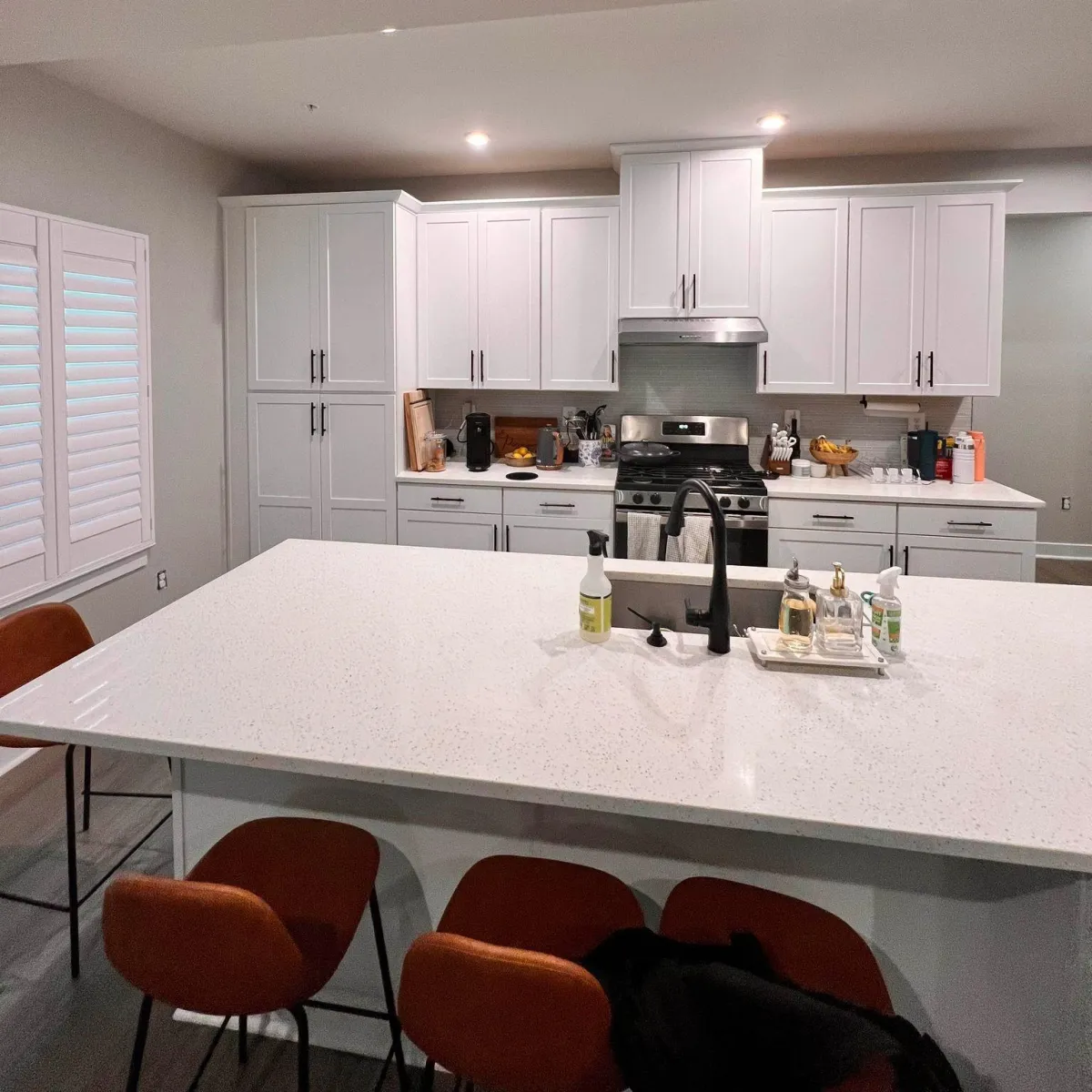 Kitchen Project 10