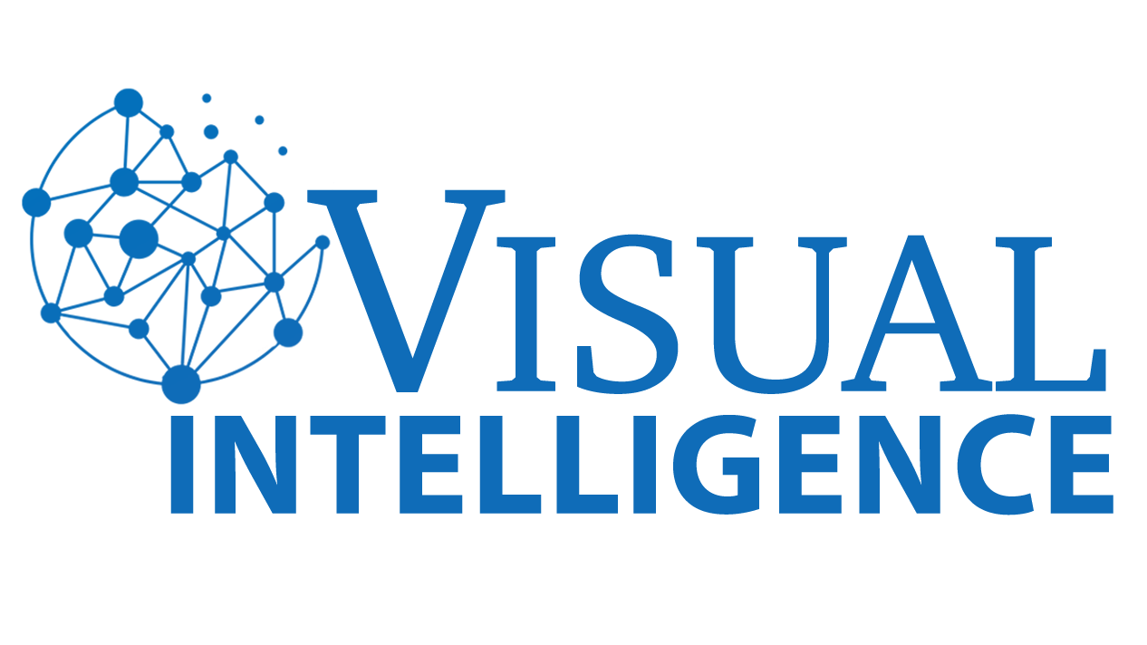 Visual Intelligence