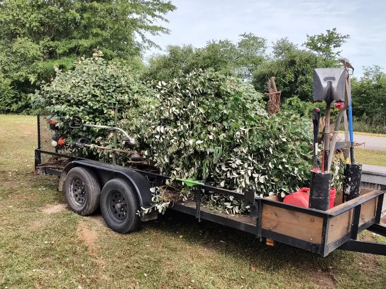 Tree Pruning