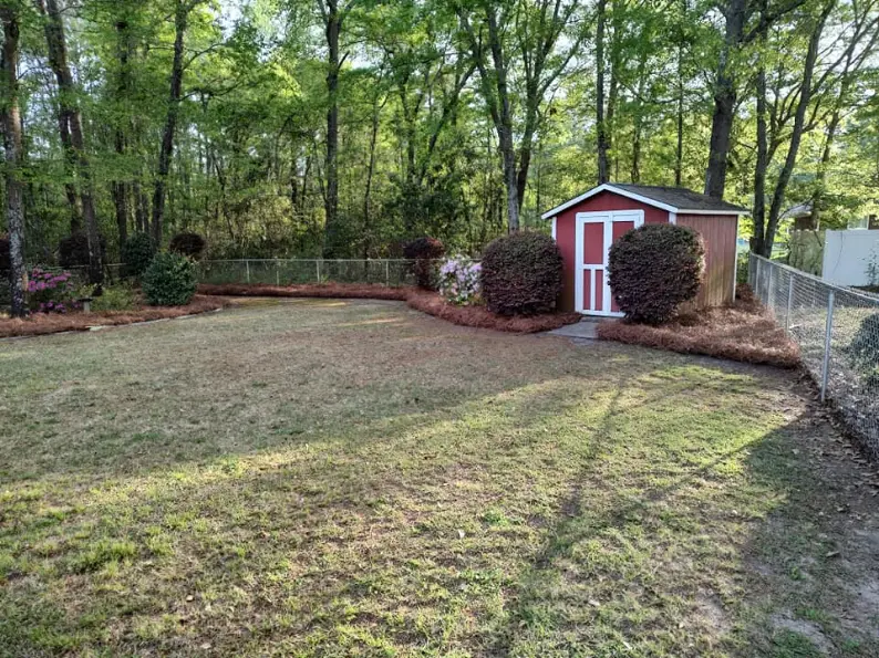 L.A. Lawn Care recent work 2