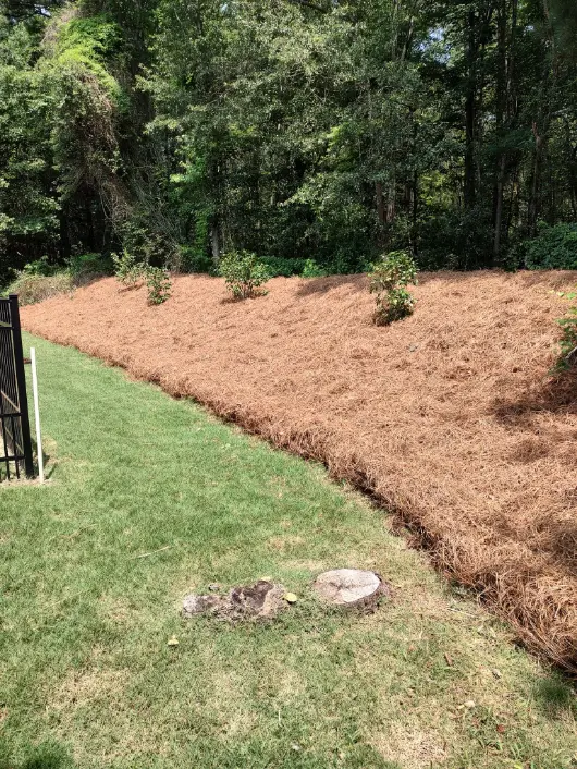 L.A. Lawn Care recent work 3