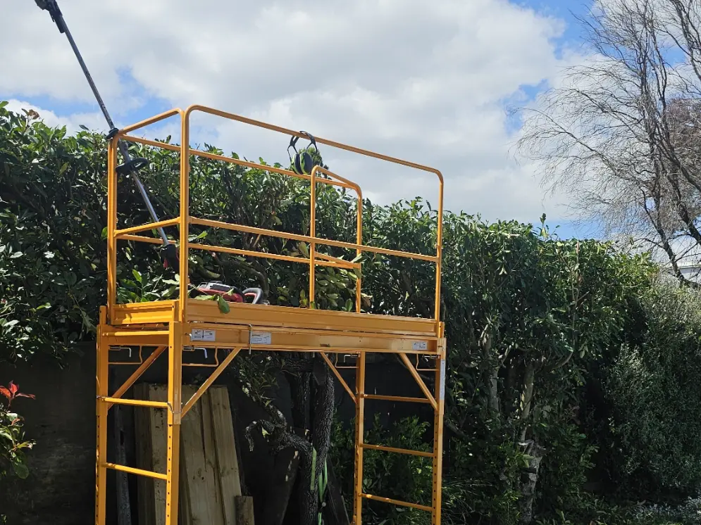 Hedge Trimming