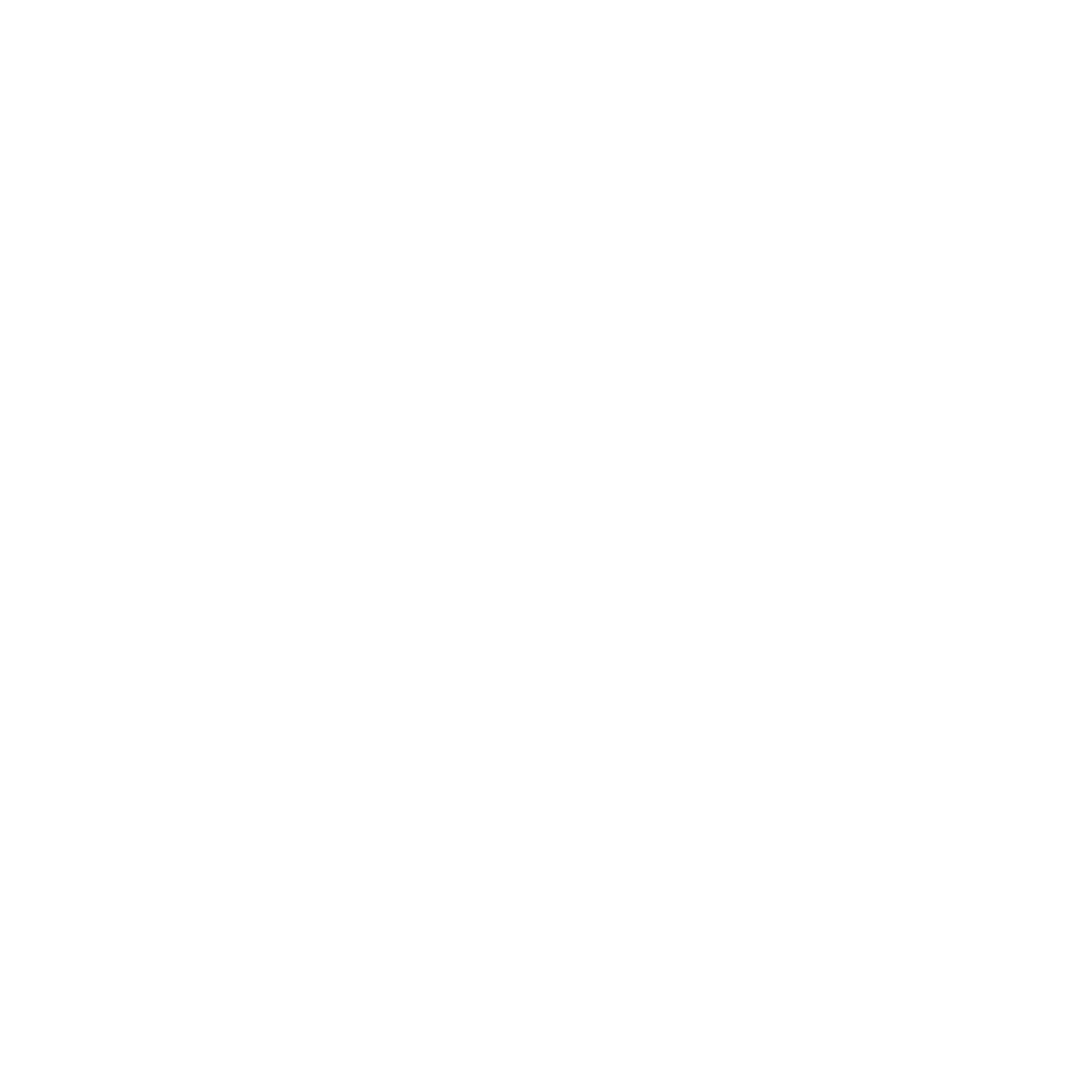 VEYDAH CORP logo