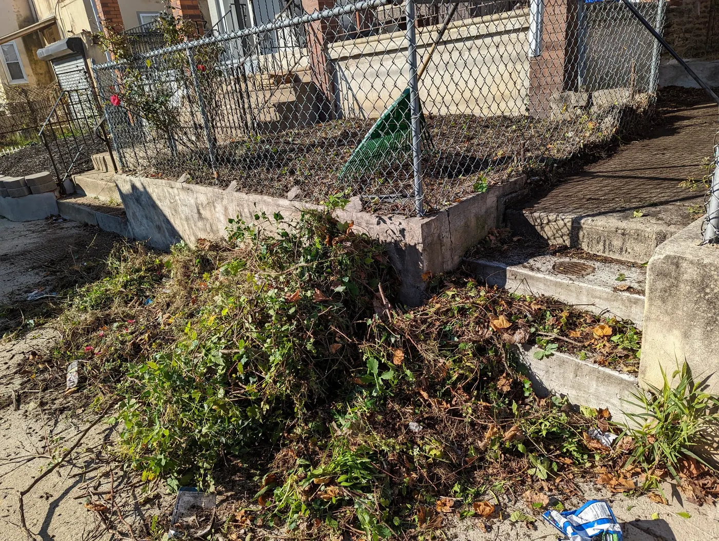 Yard cleanup
