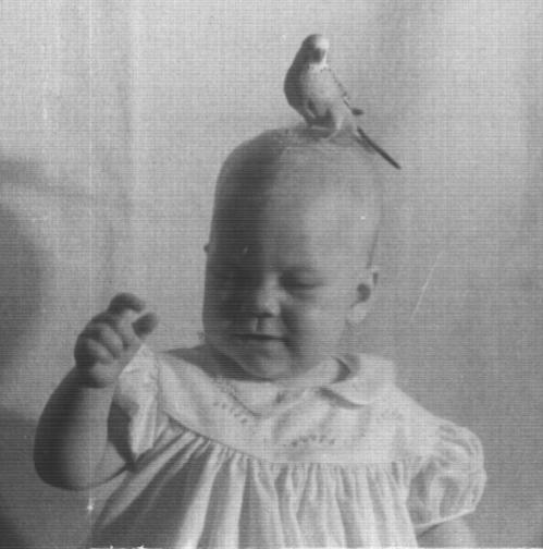 Debbie with a baby bird