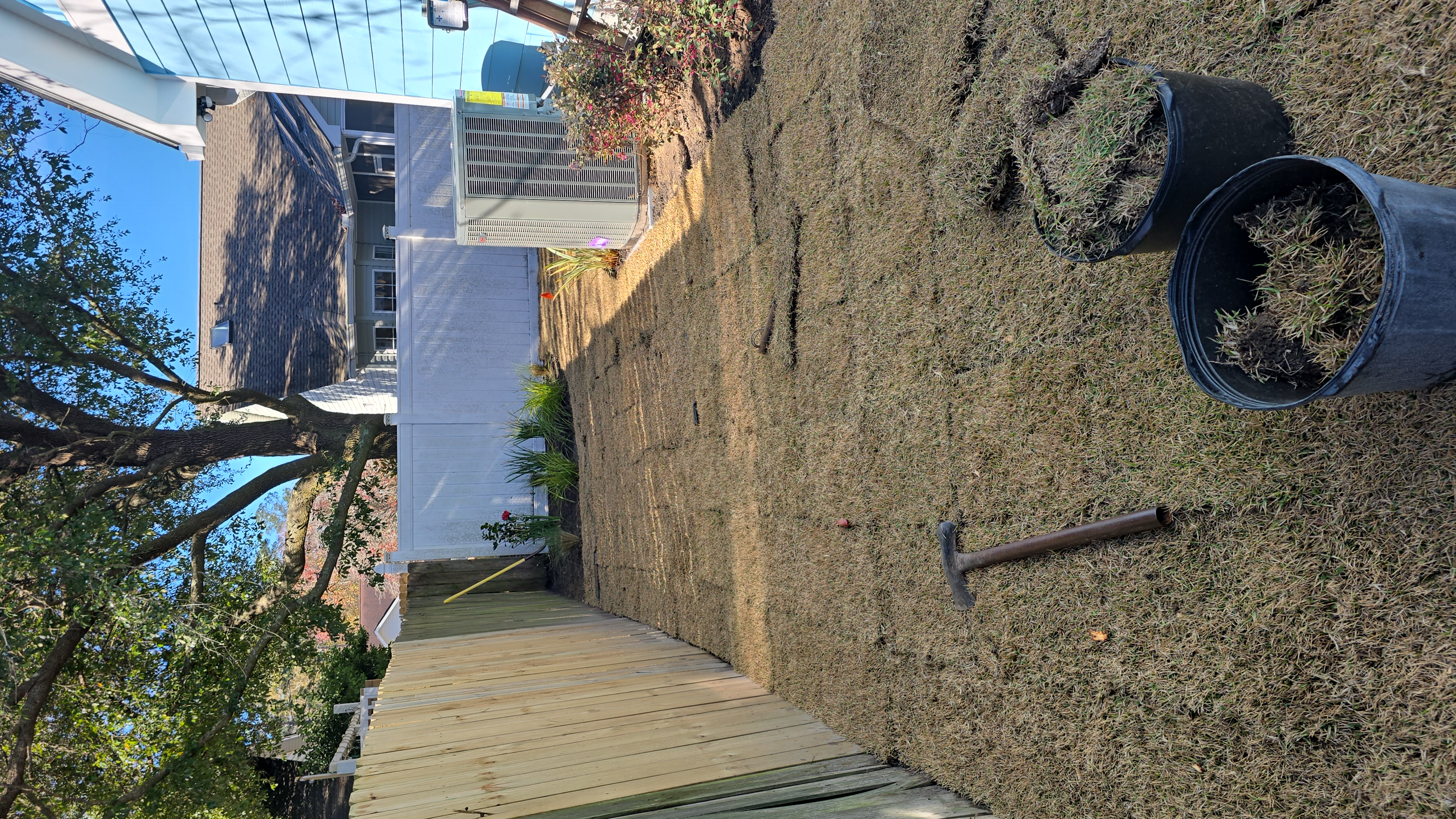 Backyard Sod Install