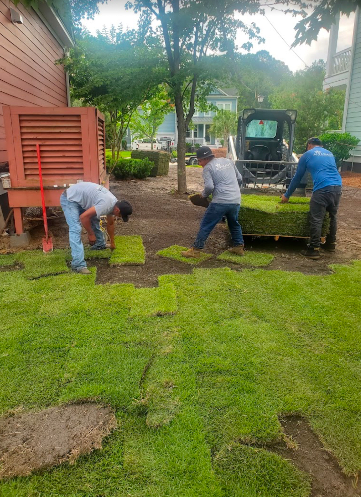 Professional Sod Installation