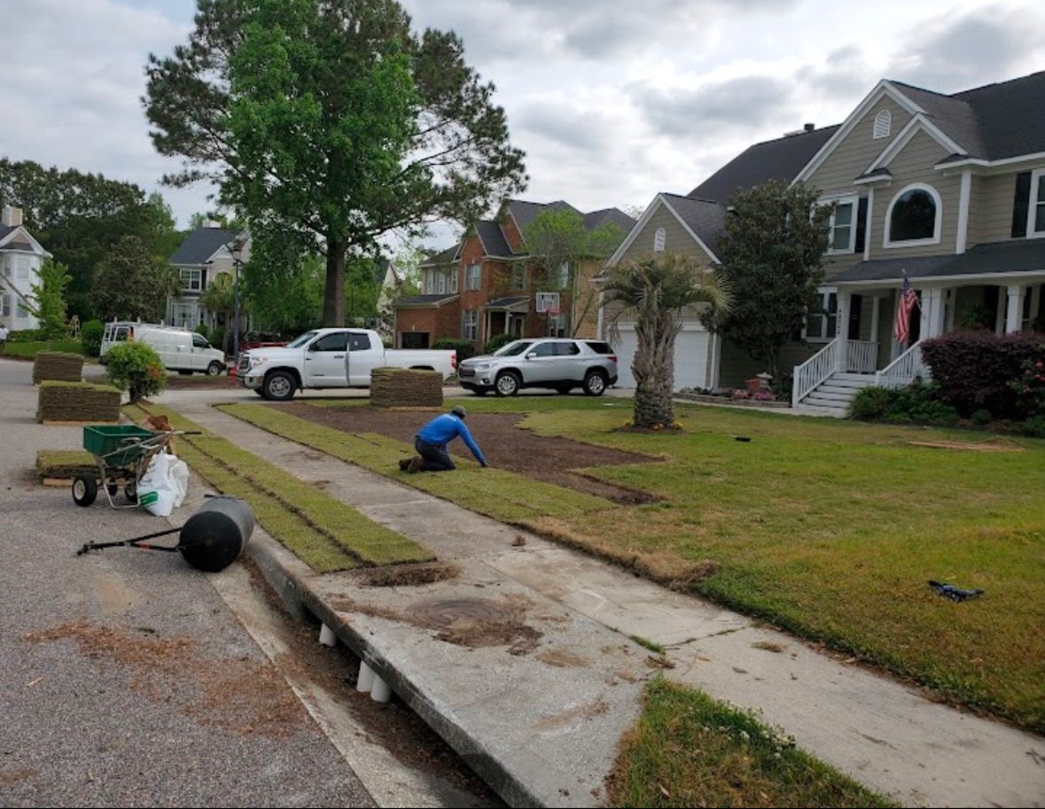 Sod Installation Project