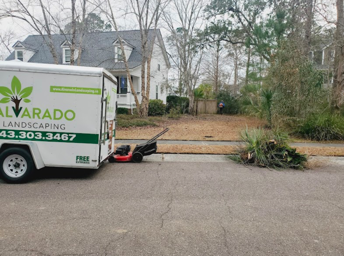 Property Cleanup & Maintenance