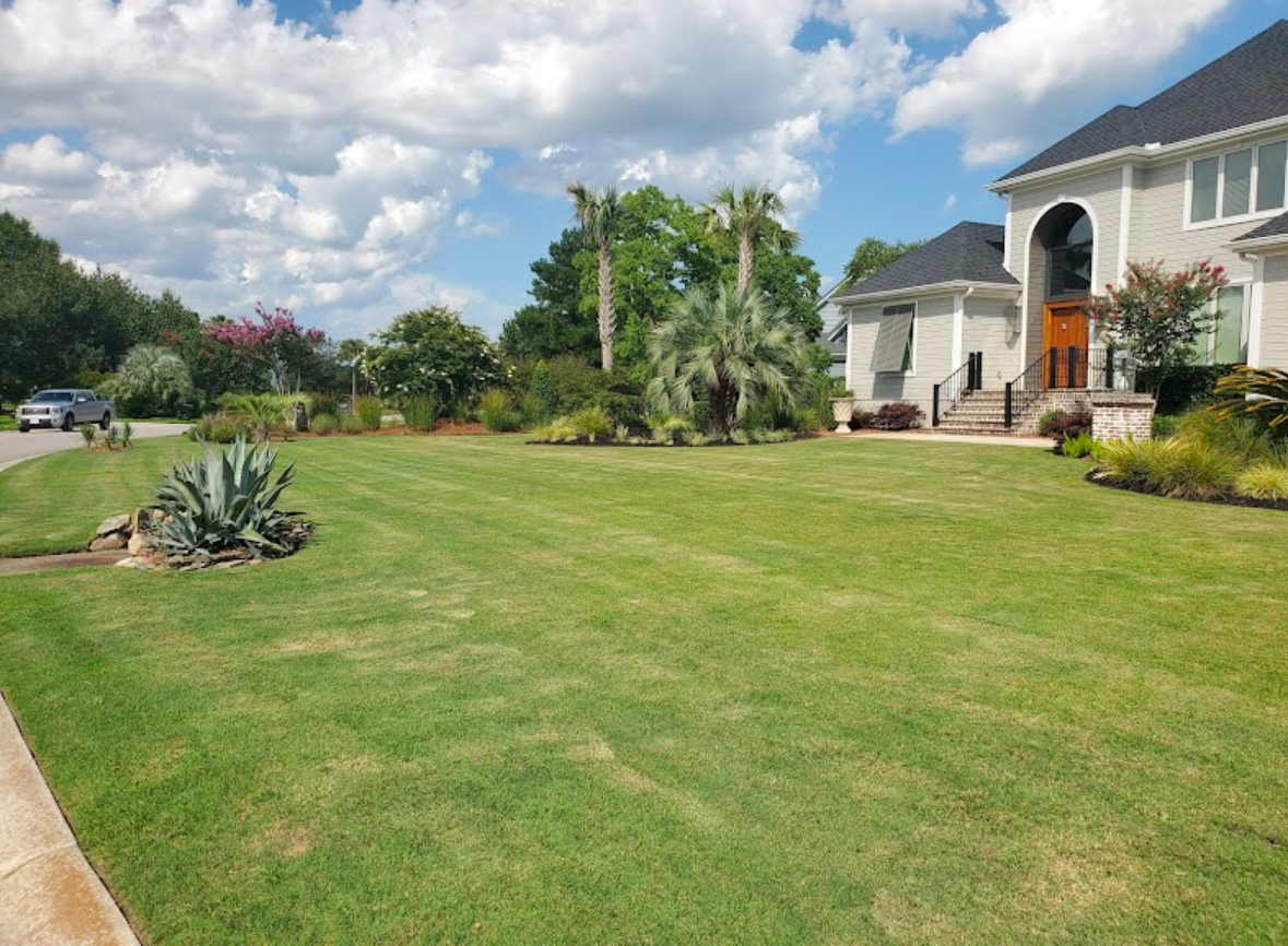 Expansive Lawn Care