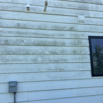 Dirty siding before washing