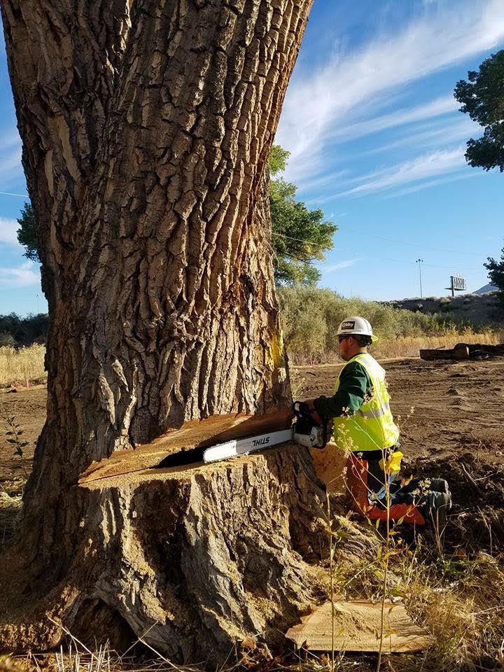 Northern Nevada Tree Experts L.L.C.
