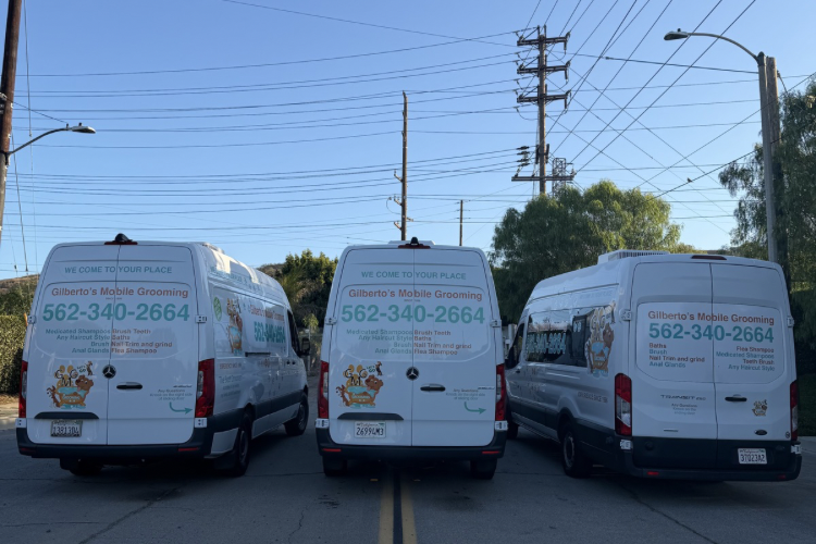 GMG Mobile Pet Grooming Van 2