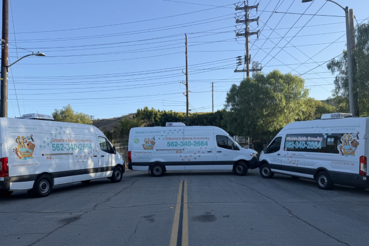 GMG Mobile Pet Grooming Van 3