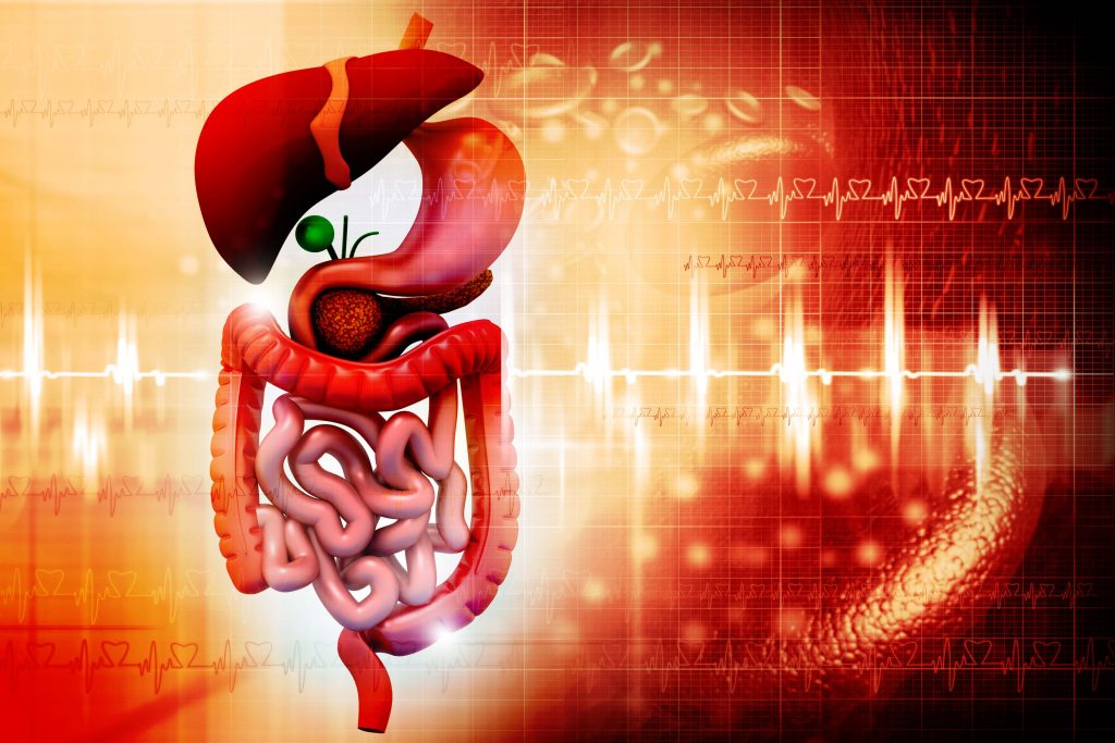Can IBS or Digestive Problems Cause Weight Gain?