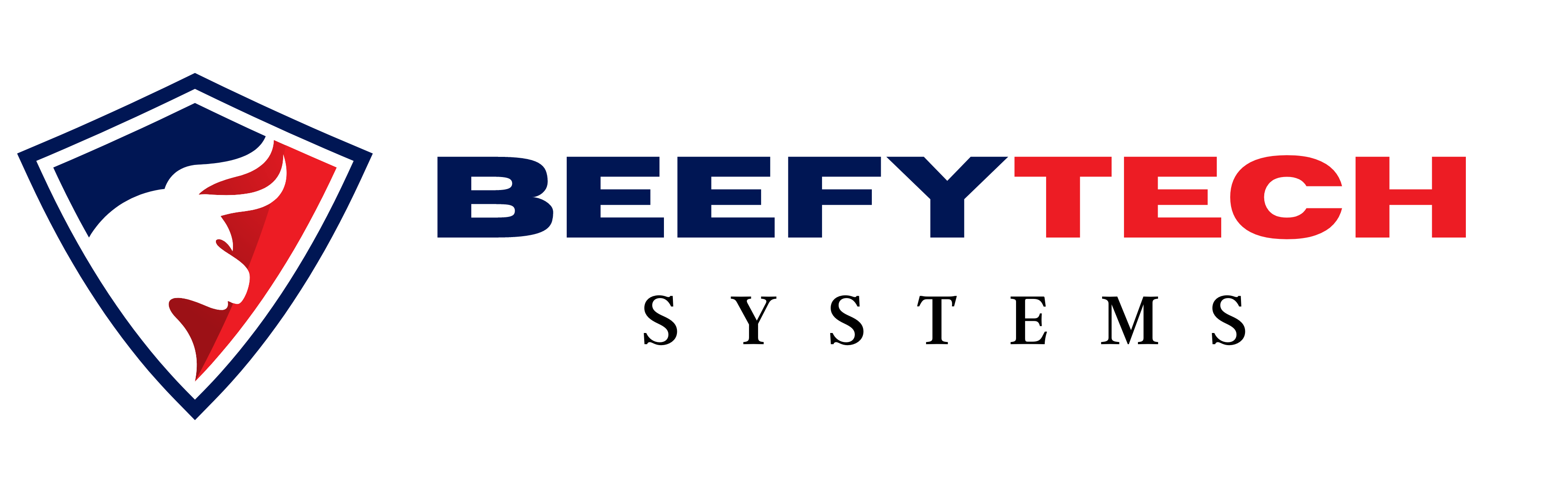 Beefy Tech Systems Logo