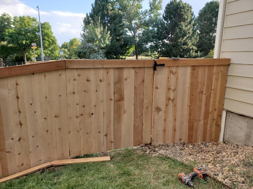 Cedar Privacy Gate