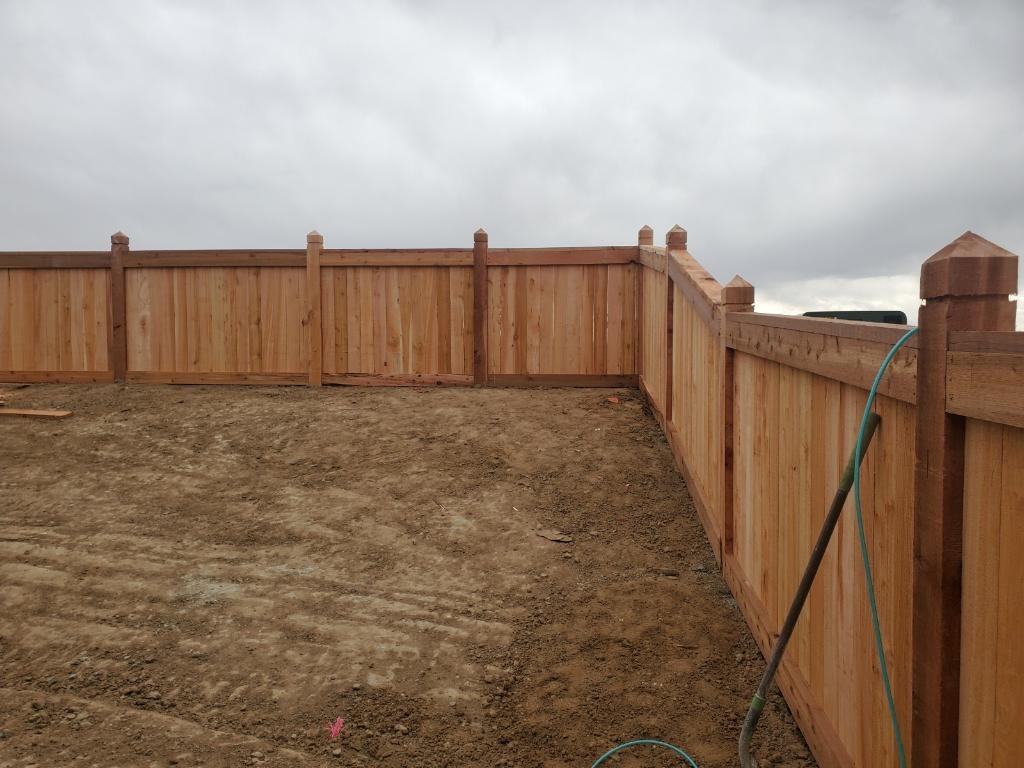 Cedar Fence with Cap