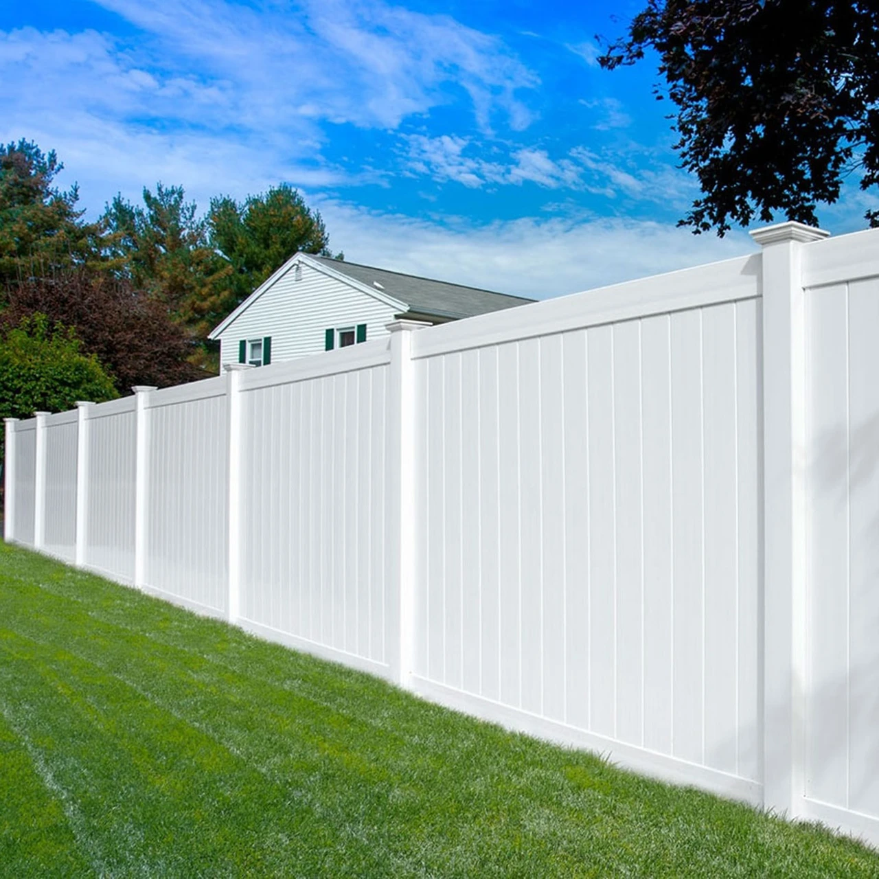 Vinyl Fence
