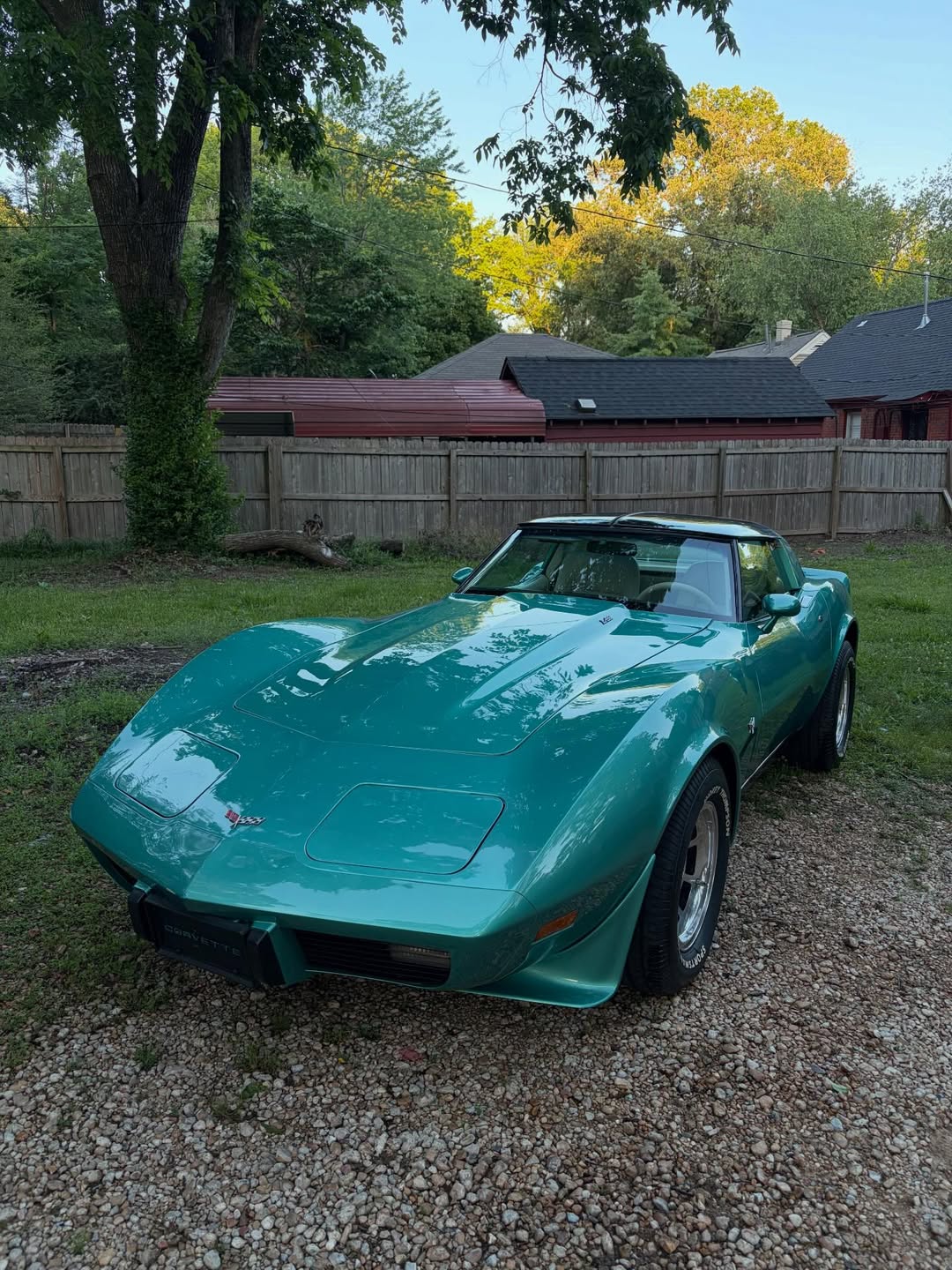 Revive Detailing Work 2
