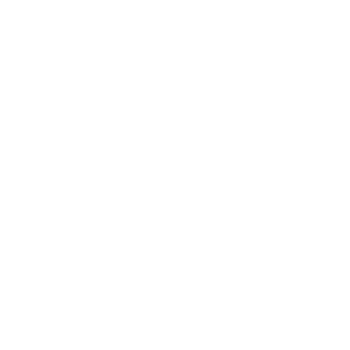 Facil Solutions Group