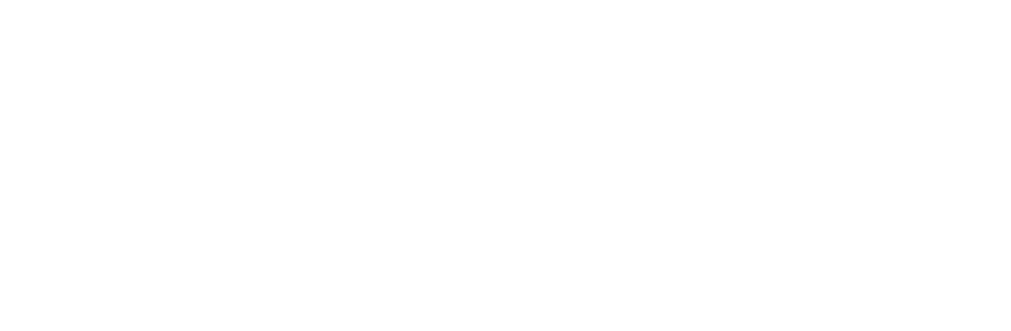 A&O Texas Solutions