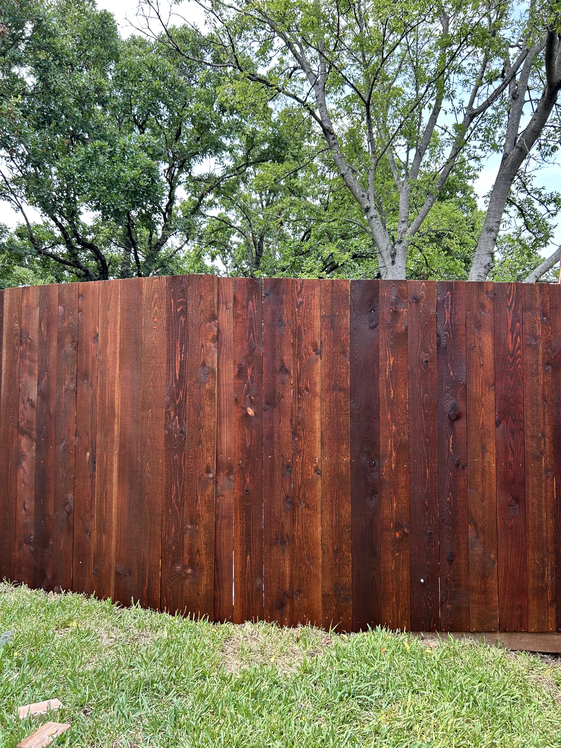Privacy Fence