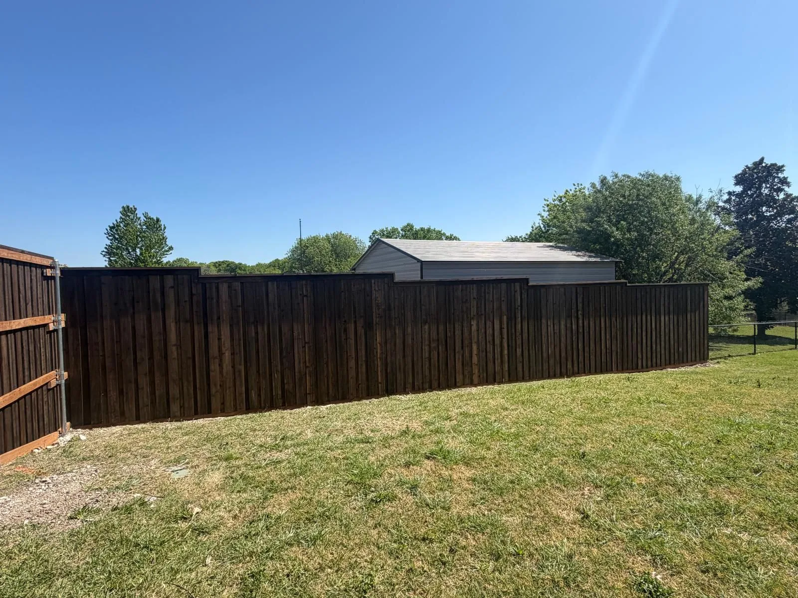 Cedar Fence