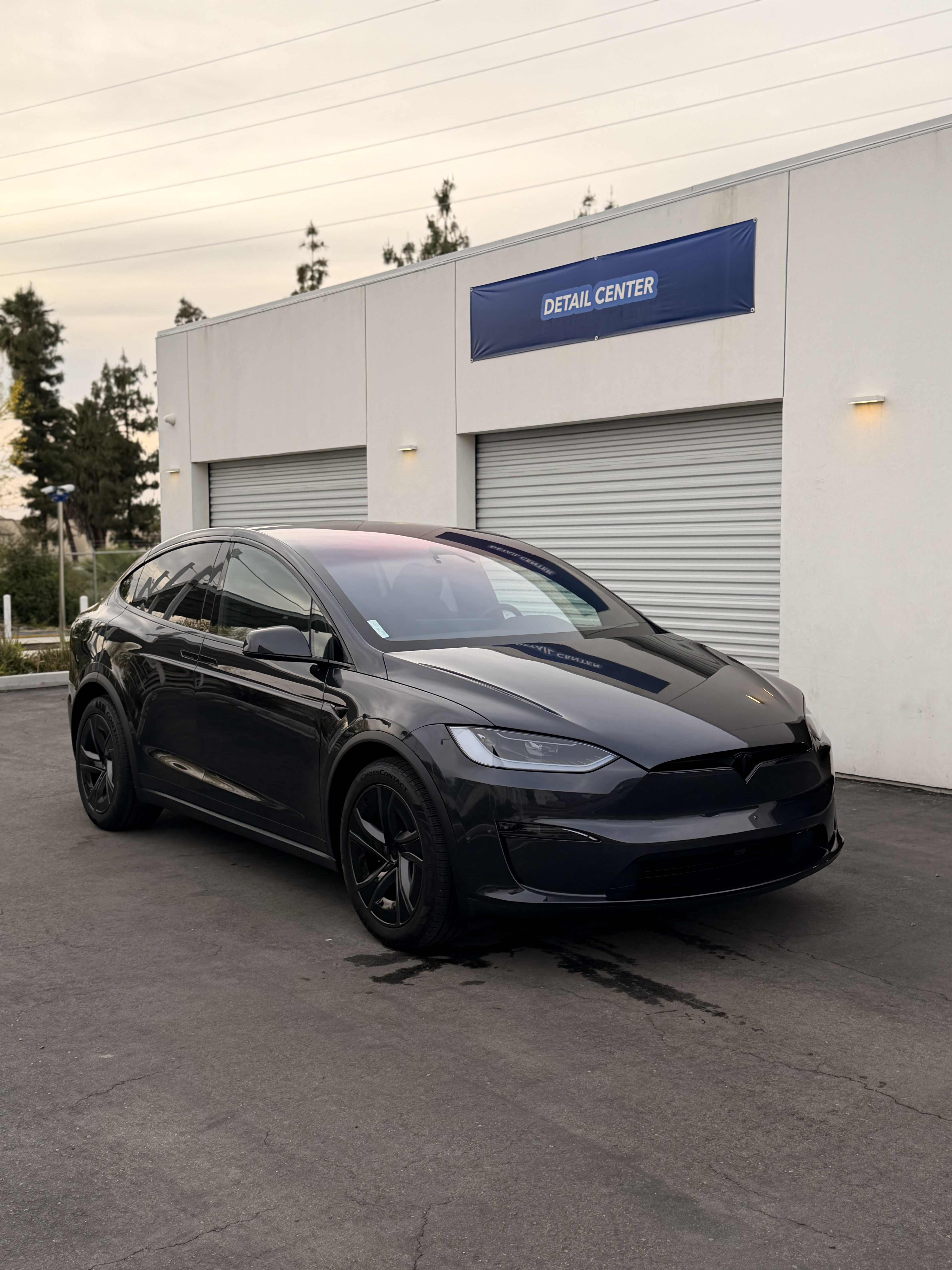 Tesla Model X Detailing