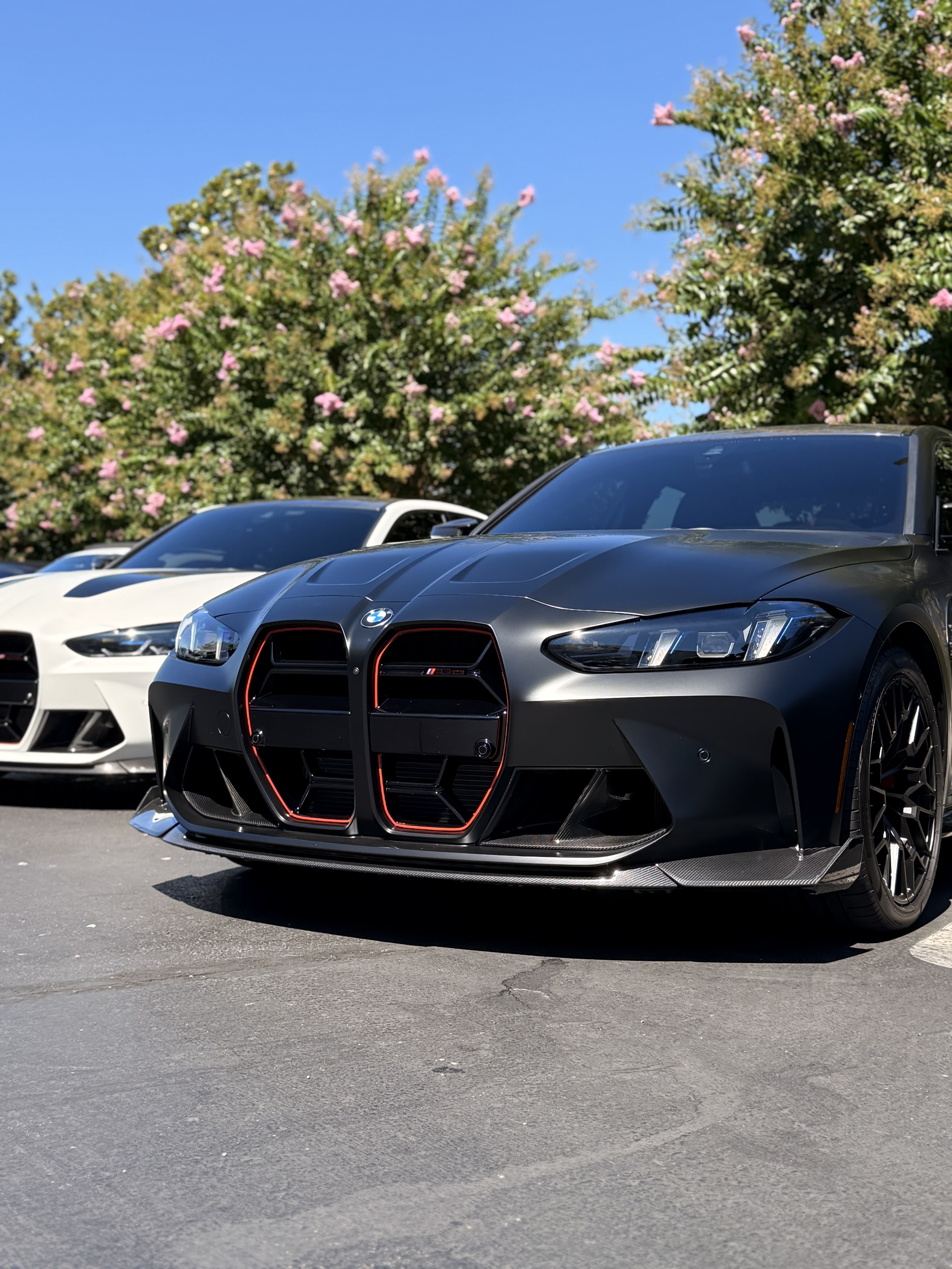 BMW Frozen Paint Care