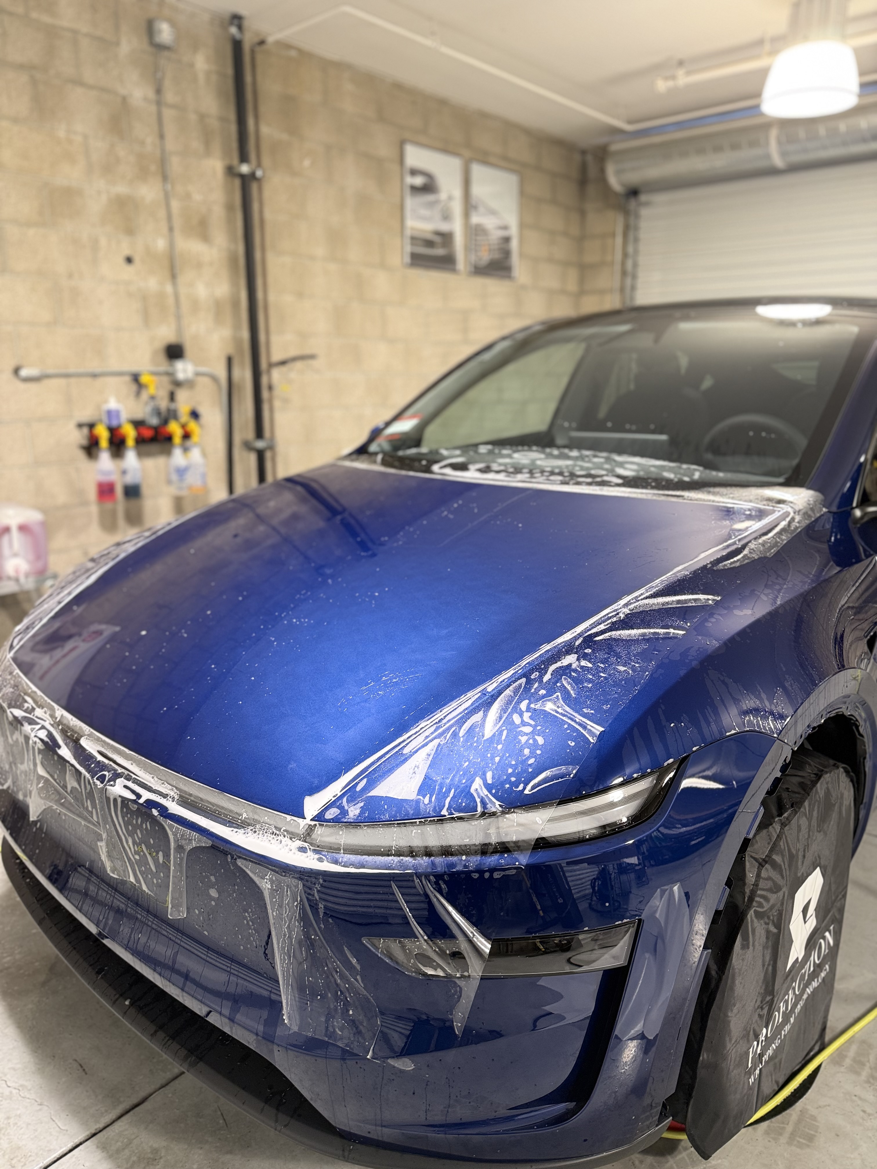 Tesla Model Y Blue PPF Installation