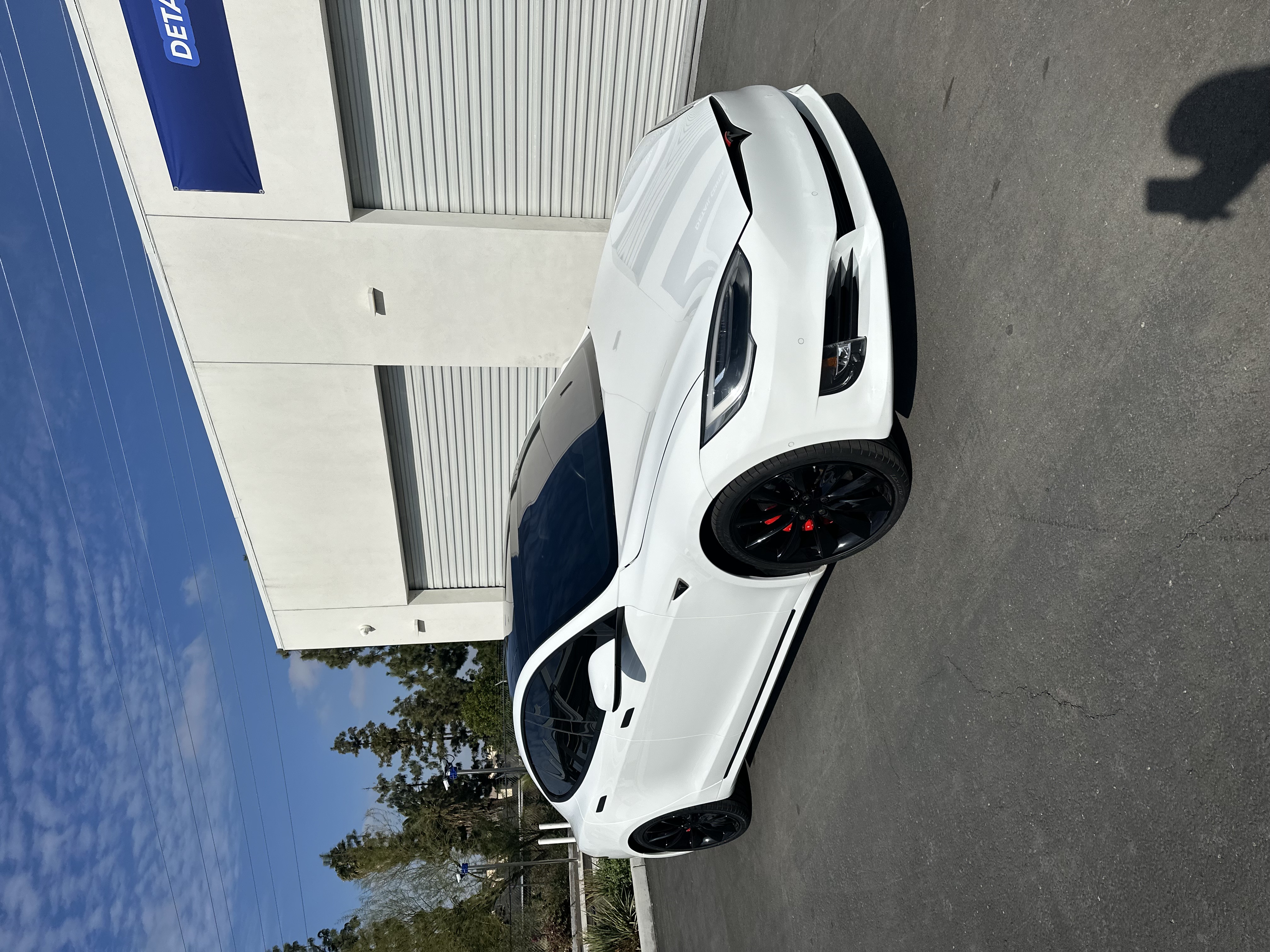 Tesla Model S PPF