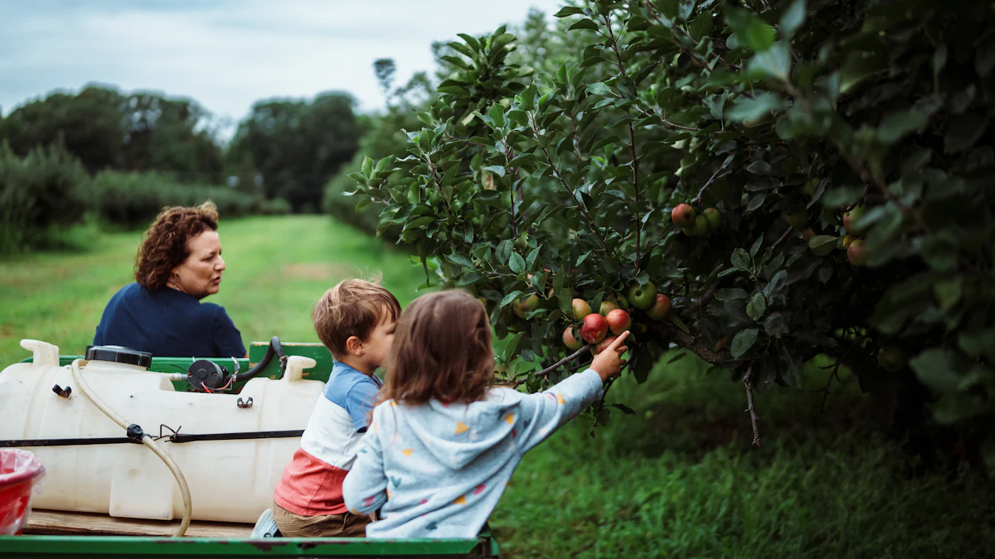 Estate Planning for Young Families: Wills, Guardianship, and Peace of Mind