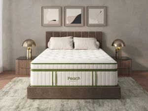 Peach Green Peach Green Plush mattress