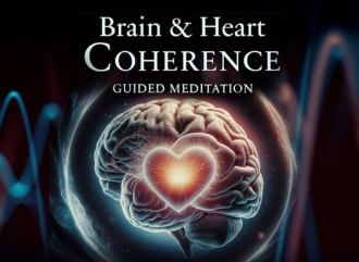 Brain and Heart Coherence